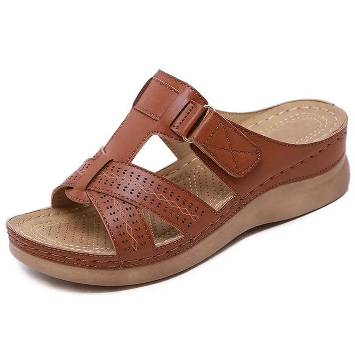 Zinnia | Women&